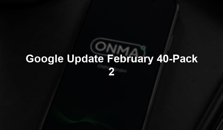 Google Update February 40-Pack 2