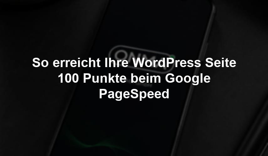 so-erreicht-ihre-wordpress-seite-100-punkte-beim-google-pagespeed
