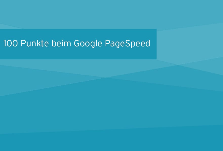 so-erreicht-ihre-wordpress-seite-100-punkte-beim-google-pagespeed