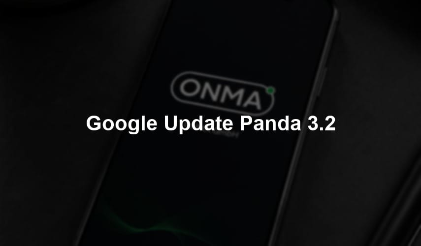 Google Update Panda 3.2