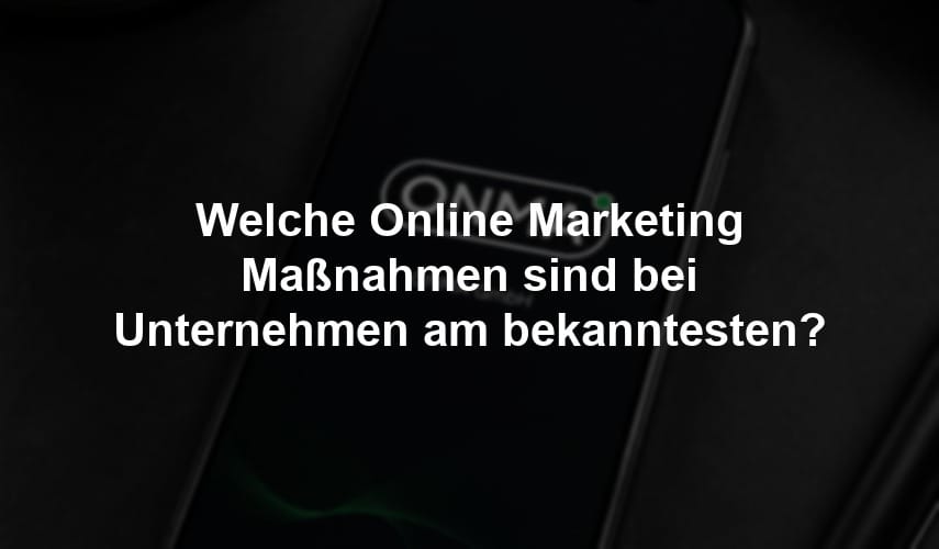 Welche Online Marketing Maßnahmen sind bei Unternehmen am bekanntesten?