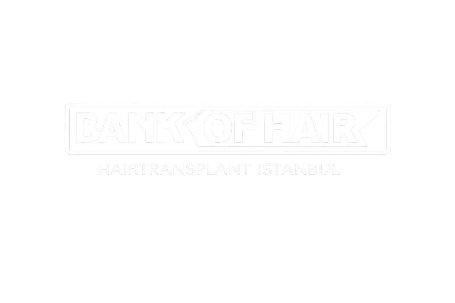Bankofhairistanbul Logo