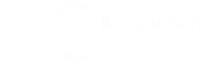 Zesi Logo